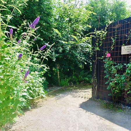 Les Bobos A La Ferme Bed & Breakfast La Madelaine-sous-Montreuil Exterior foto